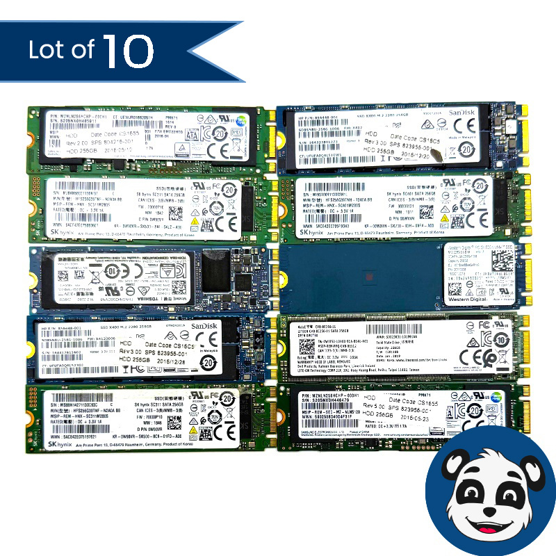 Lot of 10 256GB M.2 SSD, B&M Key, Mixed Brands/Models – “A”