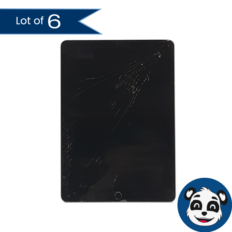 Lot of 6 APPLE A1893 256GB iPads, (Broken Screens)